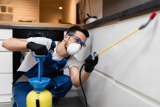 Best Insect Control  in Bristol, IN