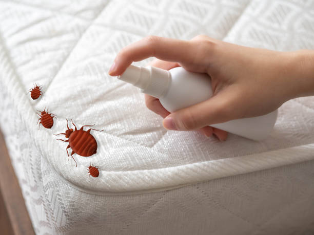 Best Cockroach Control Services  in Bristol, IN