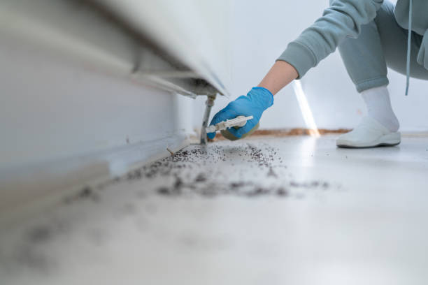 Pest Prevention Services in Bristol, IN