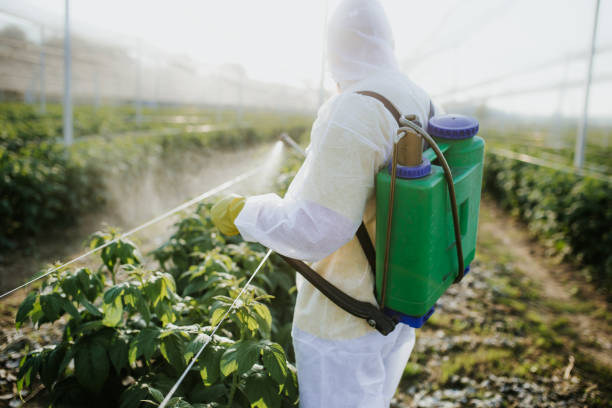 Best Affordable Pest Control Services  in Bristol, IN